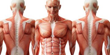 10-surprising-facts-that-we-bet-you-didn't-know-about-human-body