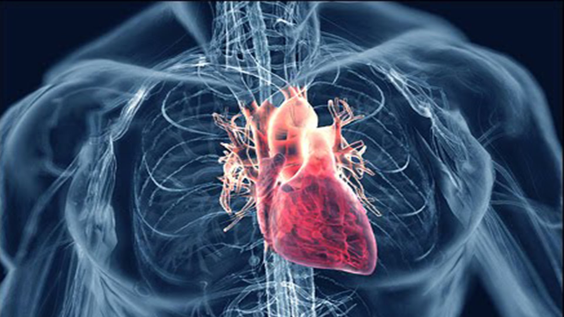 Minimum-chances-of-cardiovascular-diseases