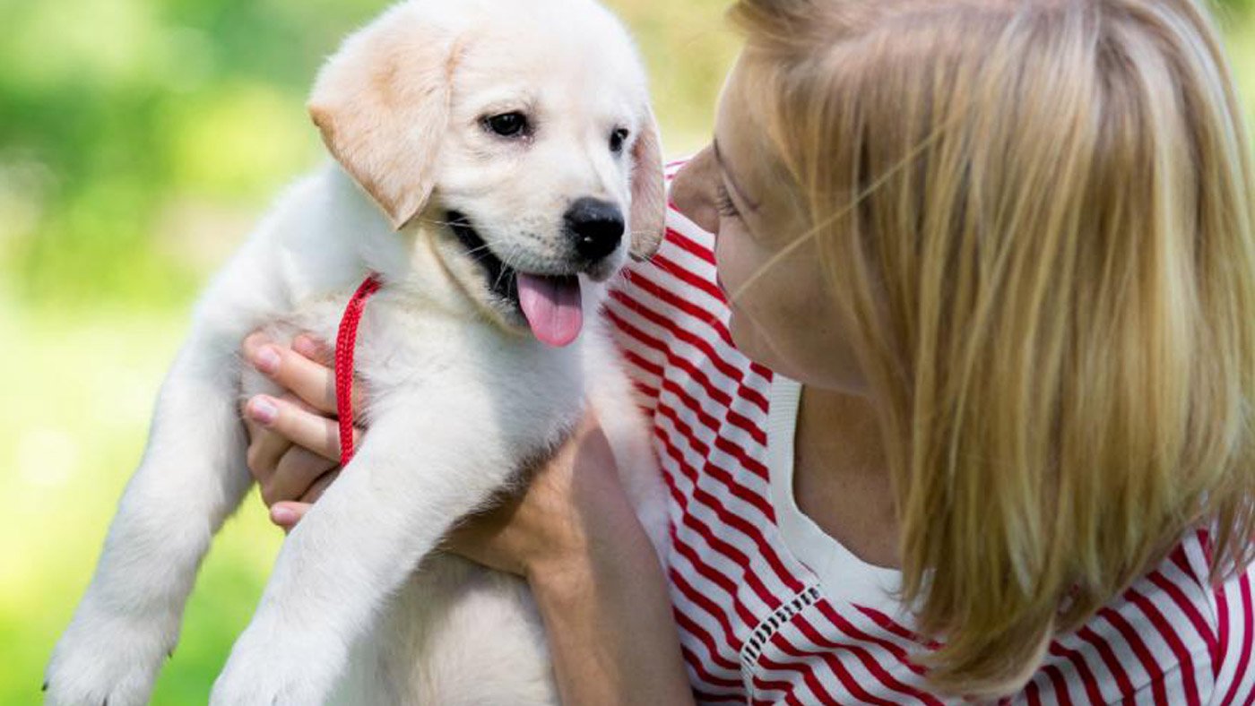 Tips to be a Responsible Pet Owner